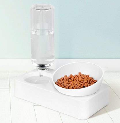 Pet Feeder and Water